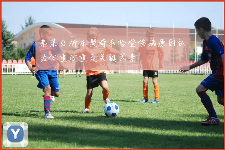 弗莱分析东契奇和哈登伤病原因认为体重过重是关键因素